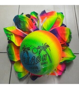 CASPER RA2001 GÖKKUŞAĞI RENKLİ PLASTİK TOP 90 GR