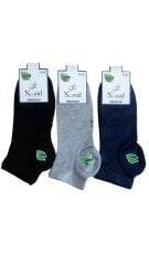KOZAL ERKEK PREMIUM PATİK ÇORAP BAMBU 41-45