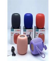 WSTER WS-309 WİRELES HOPARLÖR